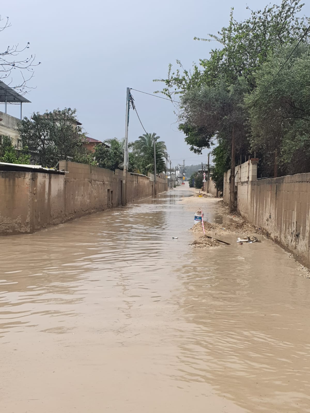 WhatsApp Image 2022-03-24 at 11.21.54 AM.jpeg